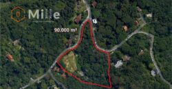 VENDE-SE TERRENO DE 90.000 m² COM VIABILIDADE