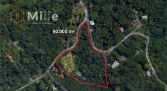 VENDE-SE TERRENO DE 90.000 m² COM VIABILIDADE