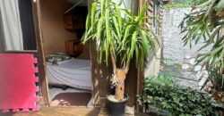 ALUGA-SE CASA 4 QUARTOS CACHOEIRA DO BOM JESUS